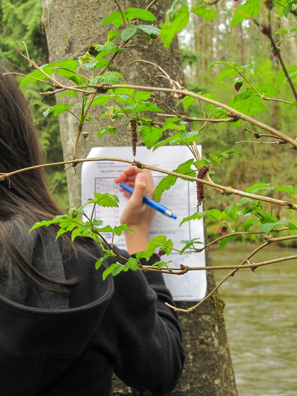 Nature journaling is away for students to explore the outdoors