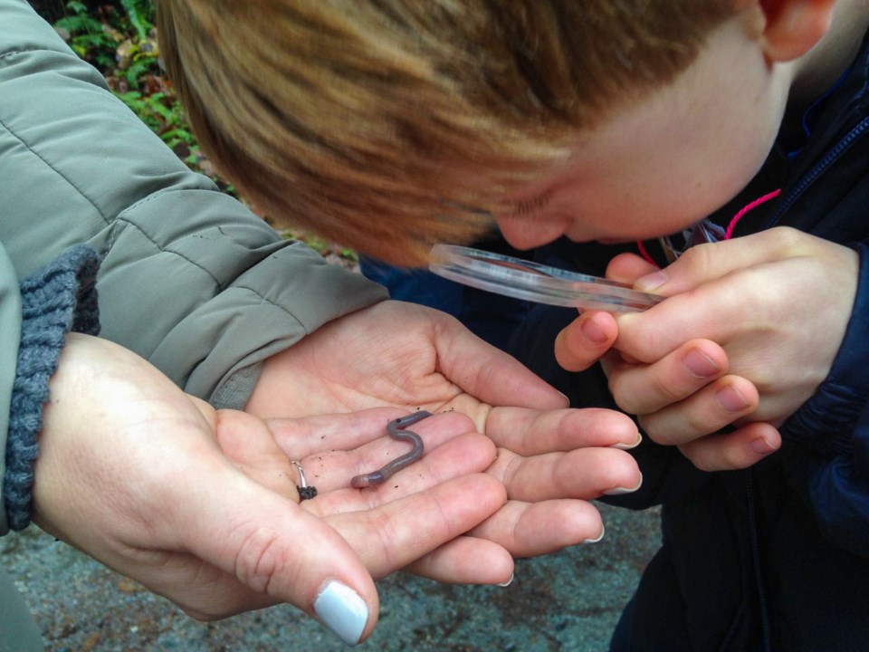 A student uses a magnifying glass to get a close look