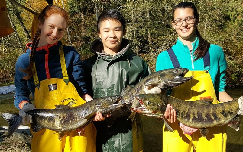 Centennial secondary school's salmon club program