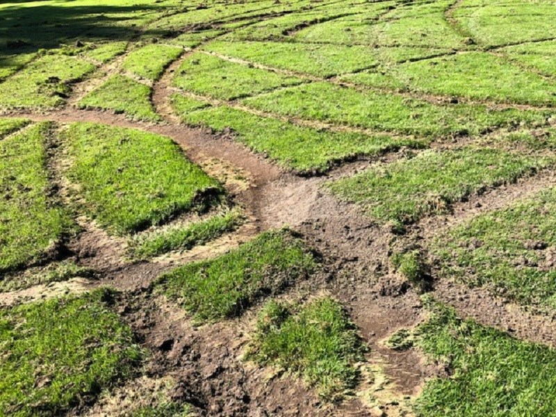 The field at Summit Middle school was trashed by vandals last week only days before the reopening of