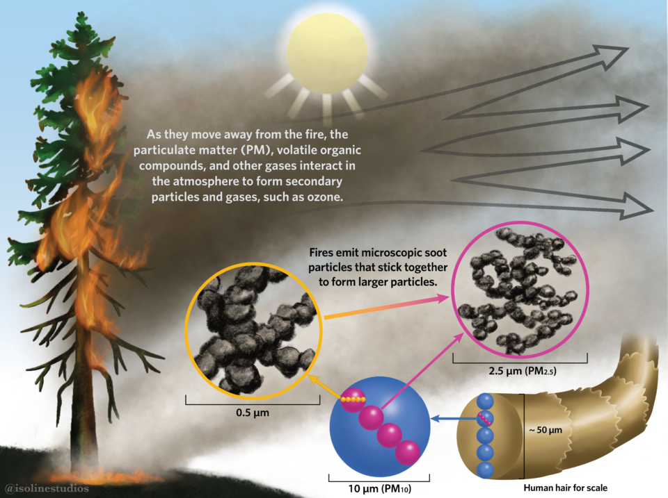 wildfire smoke