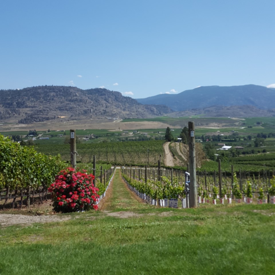 BC winery