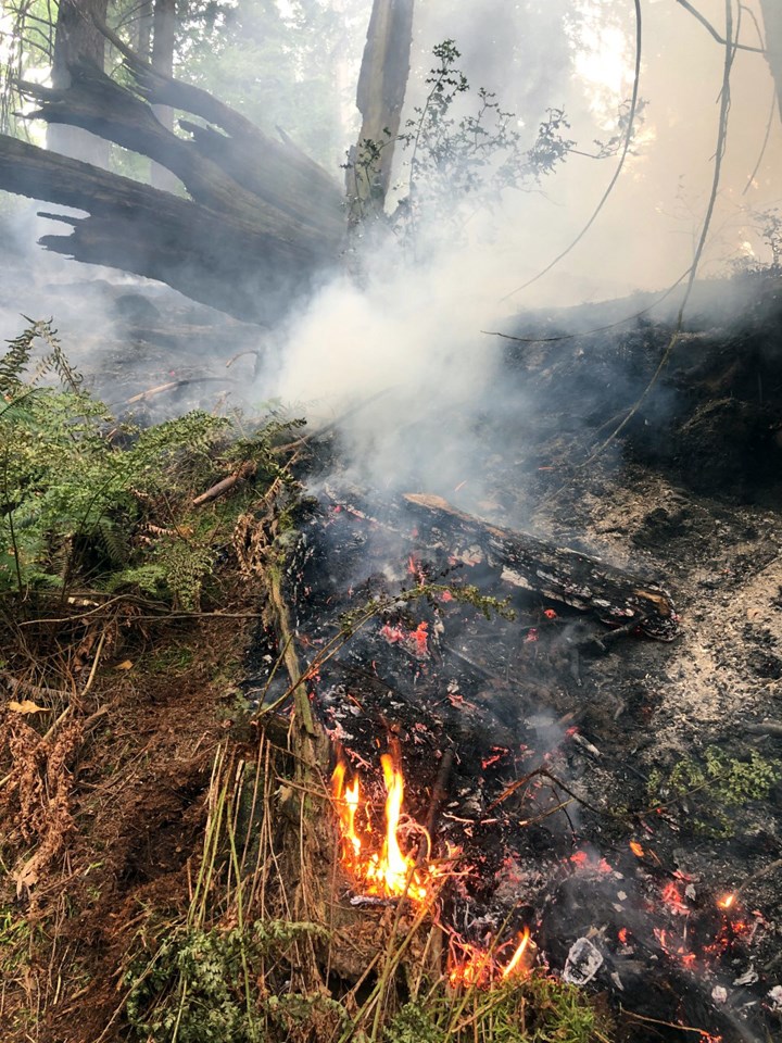 Burnaby Mountain wildfire