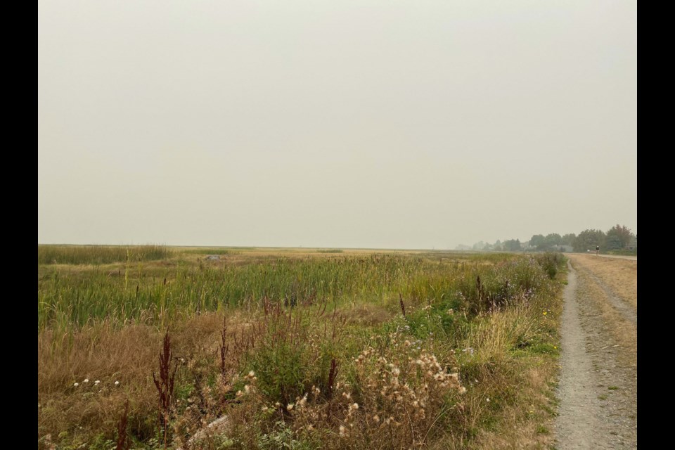 The scene from the West Dike Trail on Saturday. Kristene Murray photo