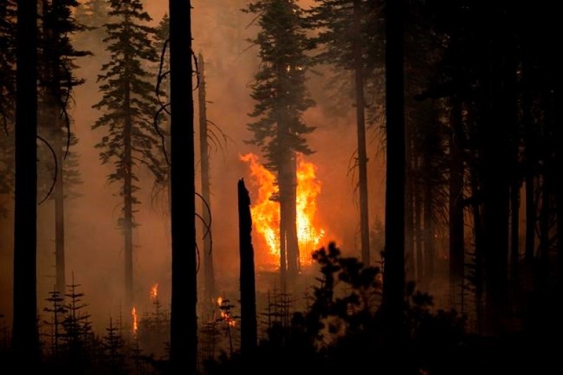 The North Complex Fire burns in Plumas National Forest, Calif., on Monday, Sept. 14, 2020. Powerful