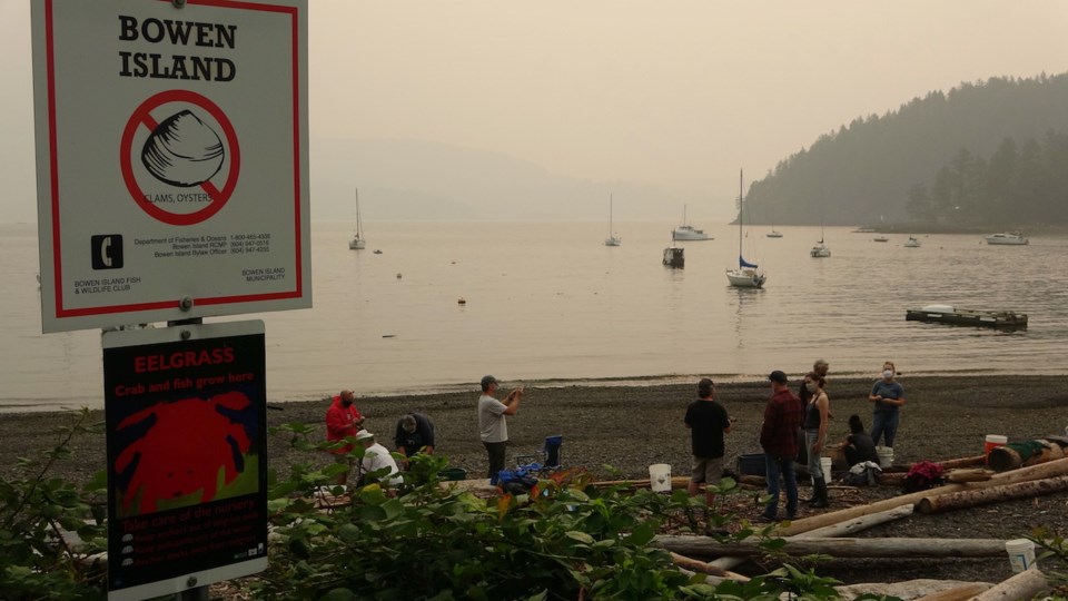 A smokey landscape as folks prepare eelgrass for transplant