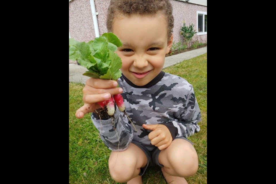 Destiny Sparks’ six-year-old son Dominyk likes to help out in the garden. Contributed photo