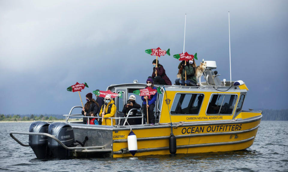 wild salmon protest tofino