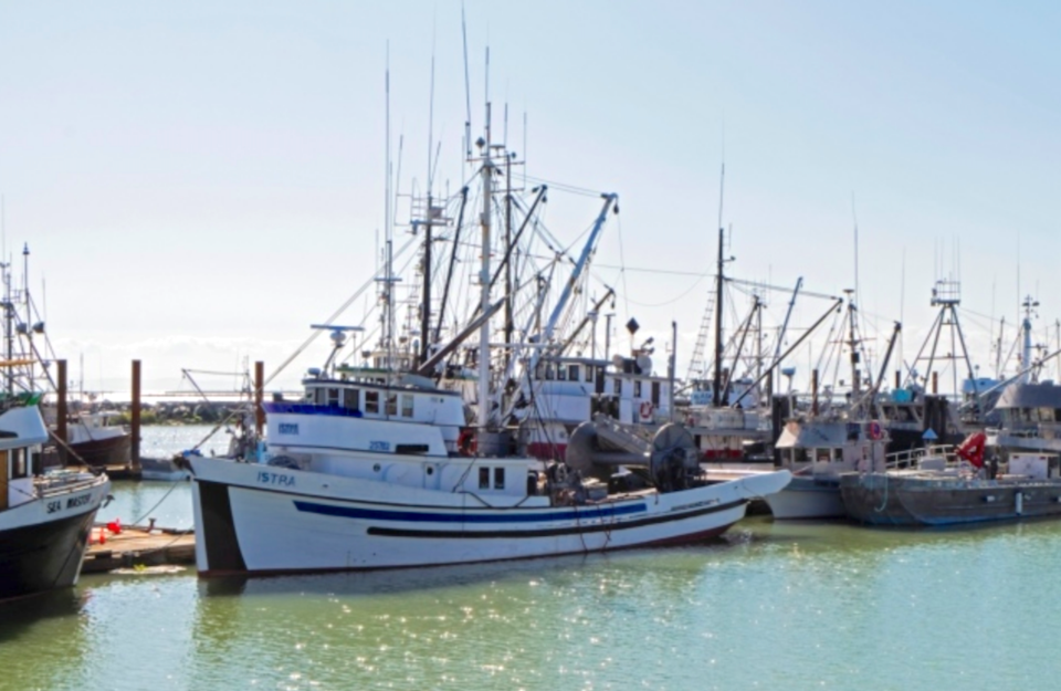 Steveston fishing boats