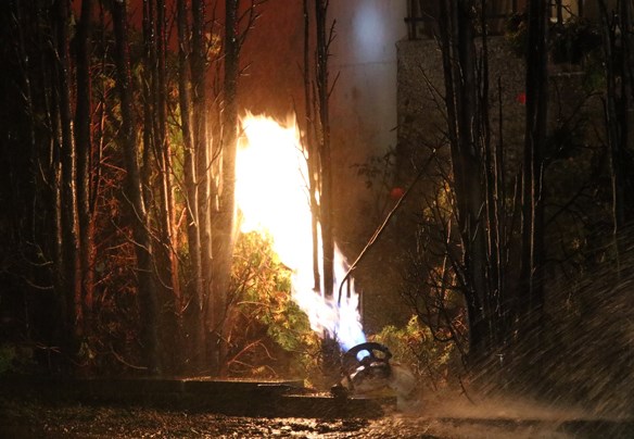 At midnight, Burnaby firefighters were called to 3717 Elmwood St. for reports of a hedge on fire next to a house. Ryan Stelting photo