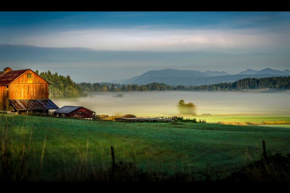 Discover the beauty of Cowichan’s endless rolling hills.