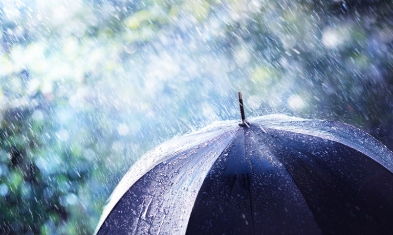 Higher elevations in Coquitlam and Port Coquitlam could see up to 100 mm of rain Friday and 75 mm on