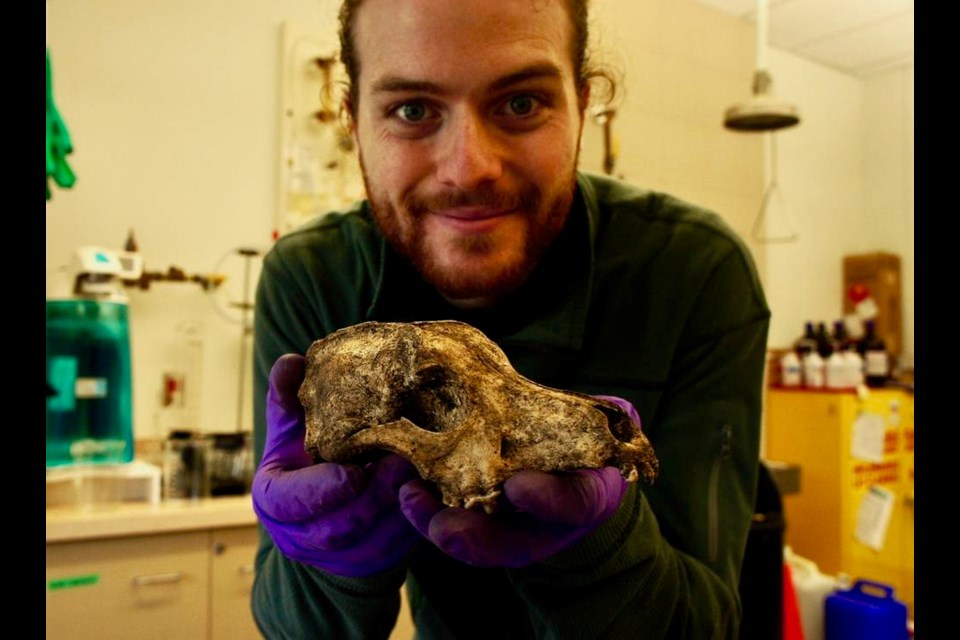 Dylan Hillis with the cranium of a Salish Woolly dog in 2018. Eric Guiry