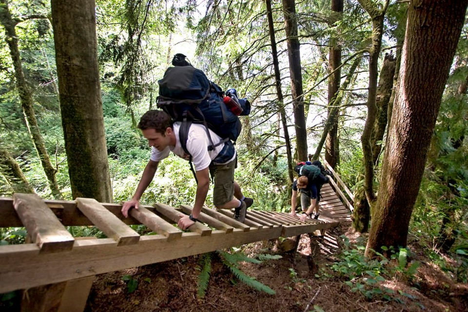 Hikers on the West Coast Trail, which was closed this summer because of COVID-19. In a typical year, about 7,500 hikers would tackle the trail. DARREN STONE, TIMES COLONIST