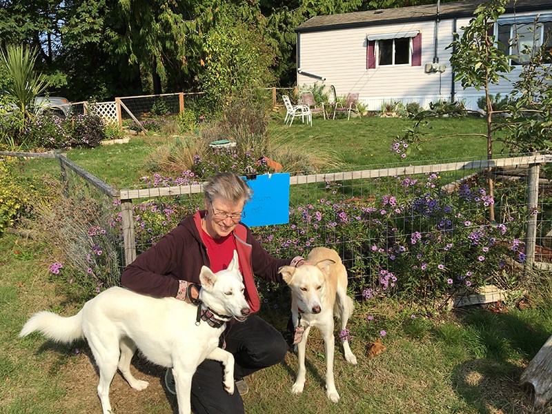 BONDED PAIR: Karyn O’Keefe is happy with her decision to adopt two canines from the Middle East. Rose and Pearl have settled into a routine at their Klahanie home and have shed their anxiety. Contributed photo