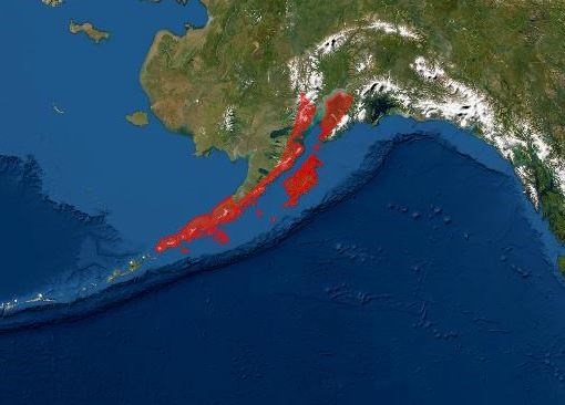 tsunami alaska