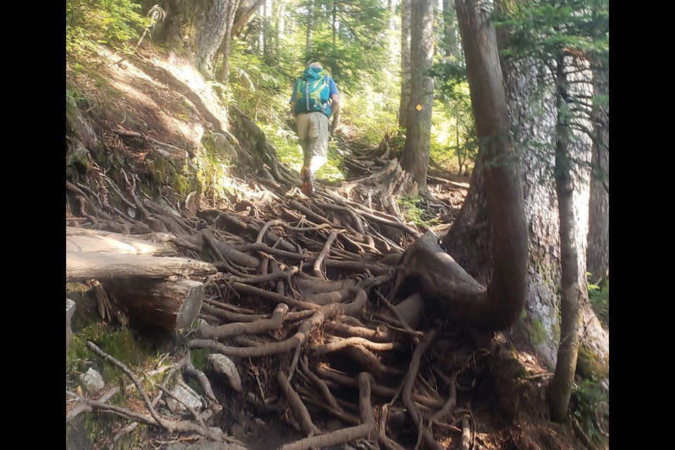 Many BC Parks trails near the North Shore are in such bad shape that every step seems to be a new opportunity to twist an ankle, writes longtime outdoor enthusiast Jay MacArthur. photo Steven Threndyle