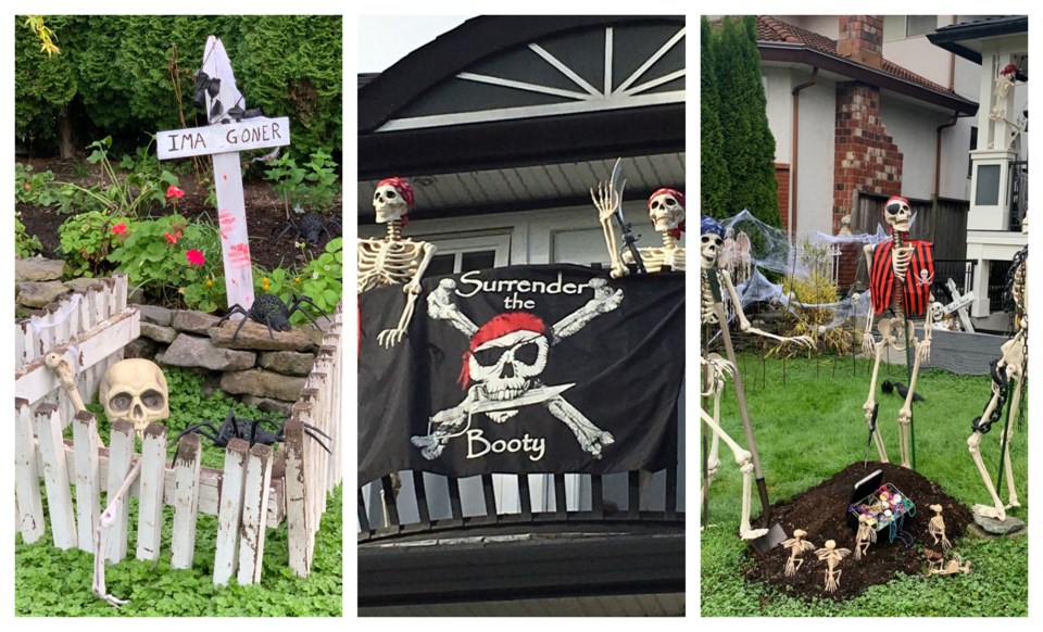 Pirate home display