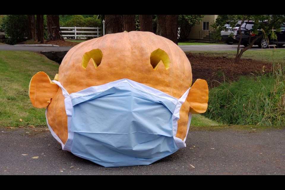 Dave Chan's latest giant pumpkin, a sign of the times. Photo submitted