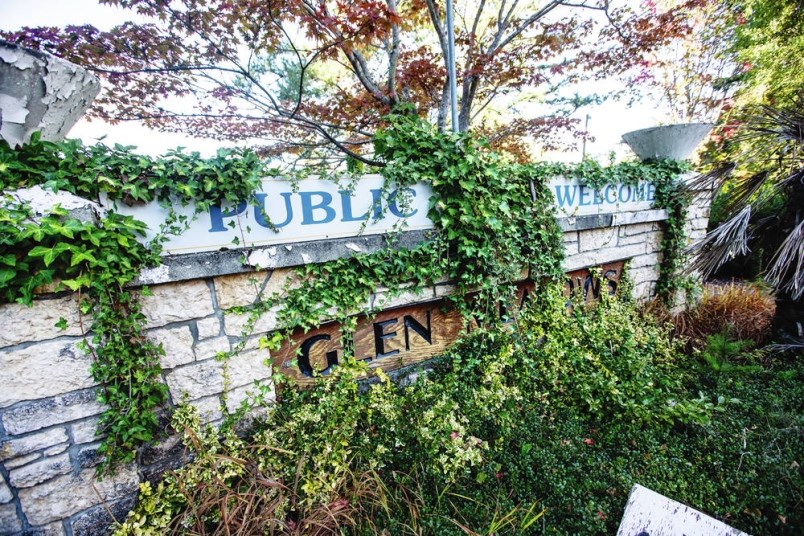 Overgrown greenery at Glen Meadows Golf and Country Club in Saanich. Darren Stone, Times Colonist