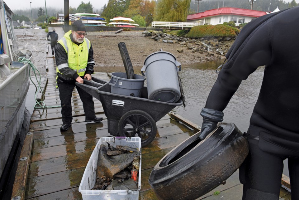 Harbour Cleanup