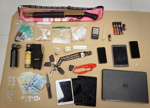 seized weapons, drugs, stolen vehicle