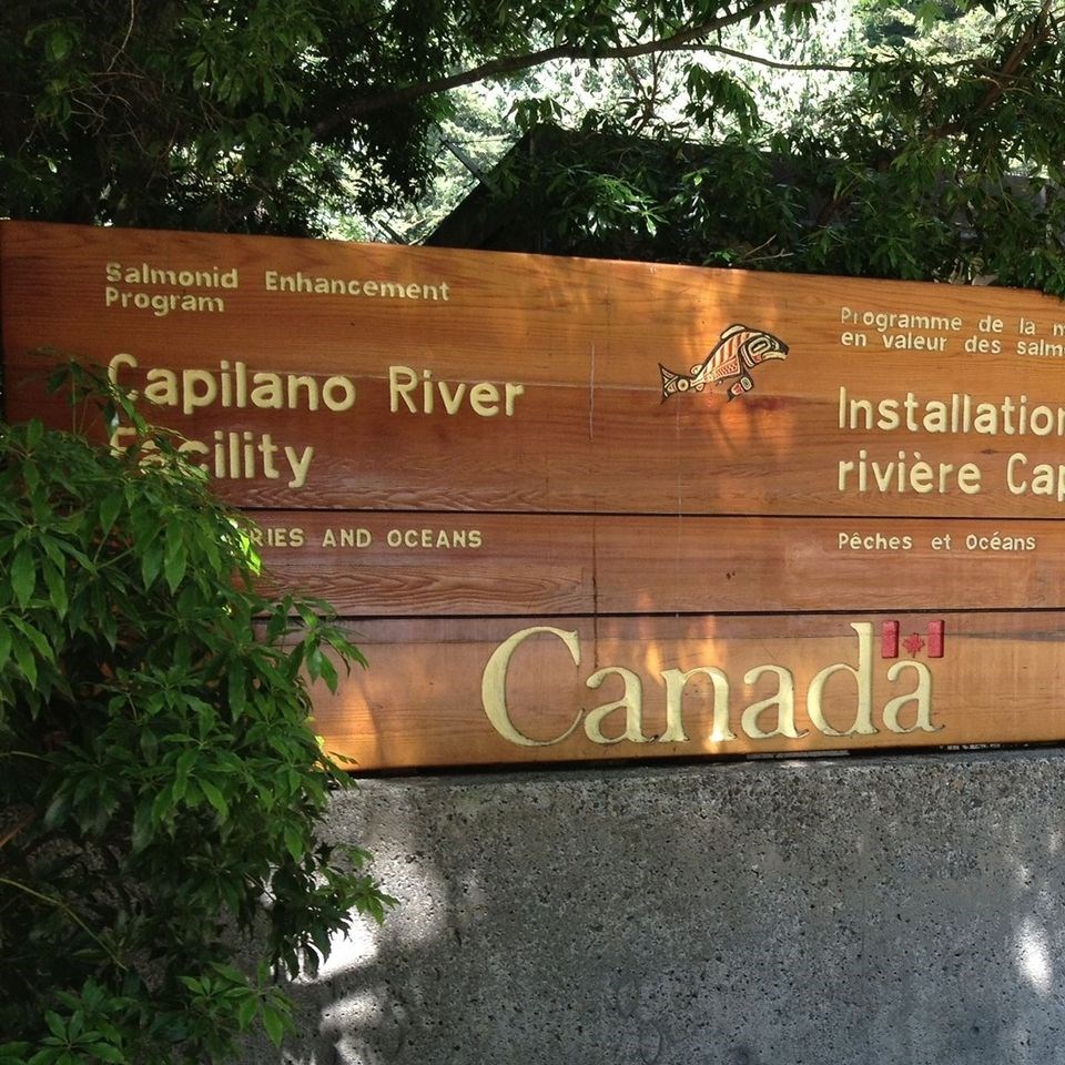 Capilano River Hatchery