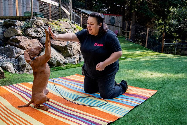 Bolduc appearing to give a high-five to a dog