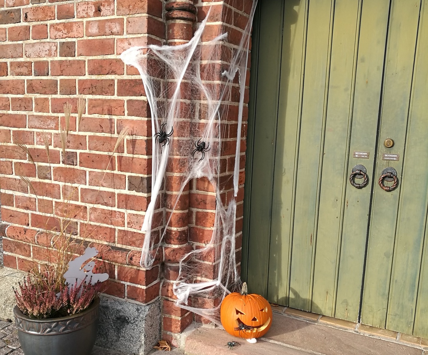 How to decorate spider shop web for halloween
