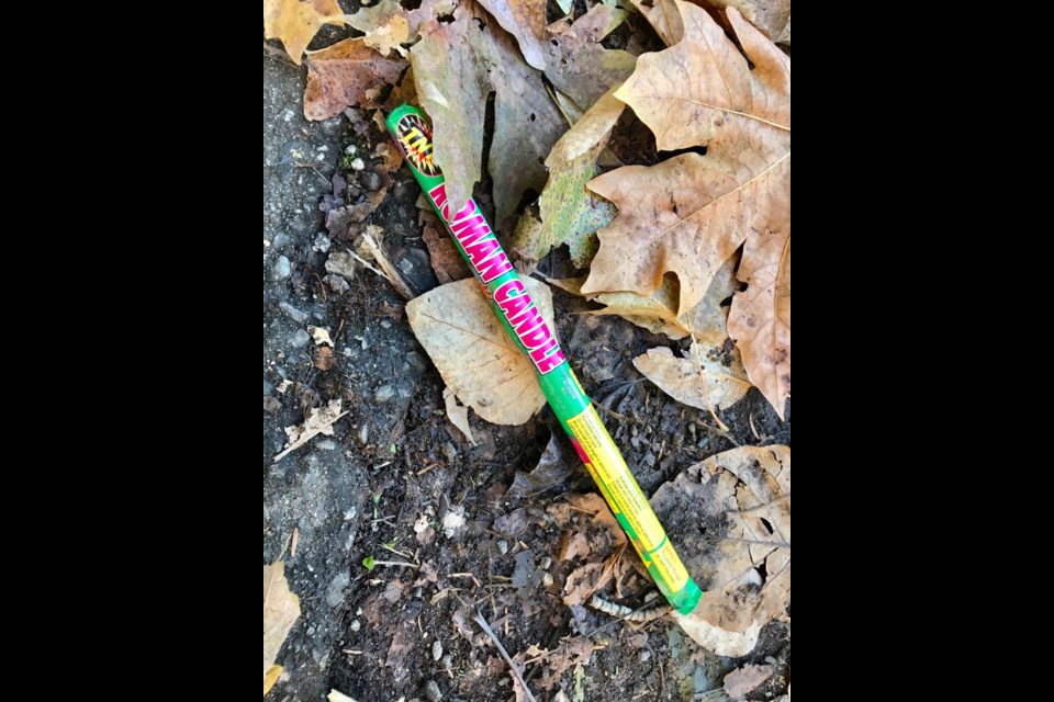 A spent roman candle among the leaves at Coquitlam's Town Centre Park. Coquitlam RCMP and fire departments report a problem-free Halloween night despite the amount of fireworks set off in the city.