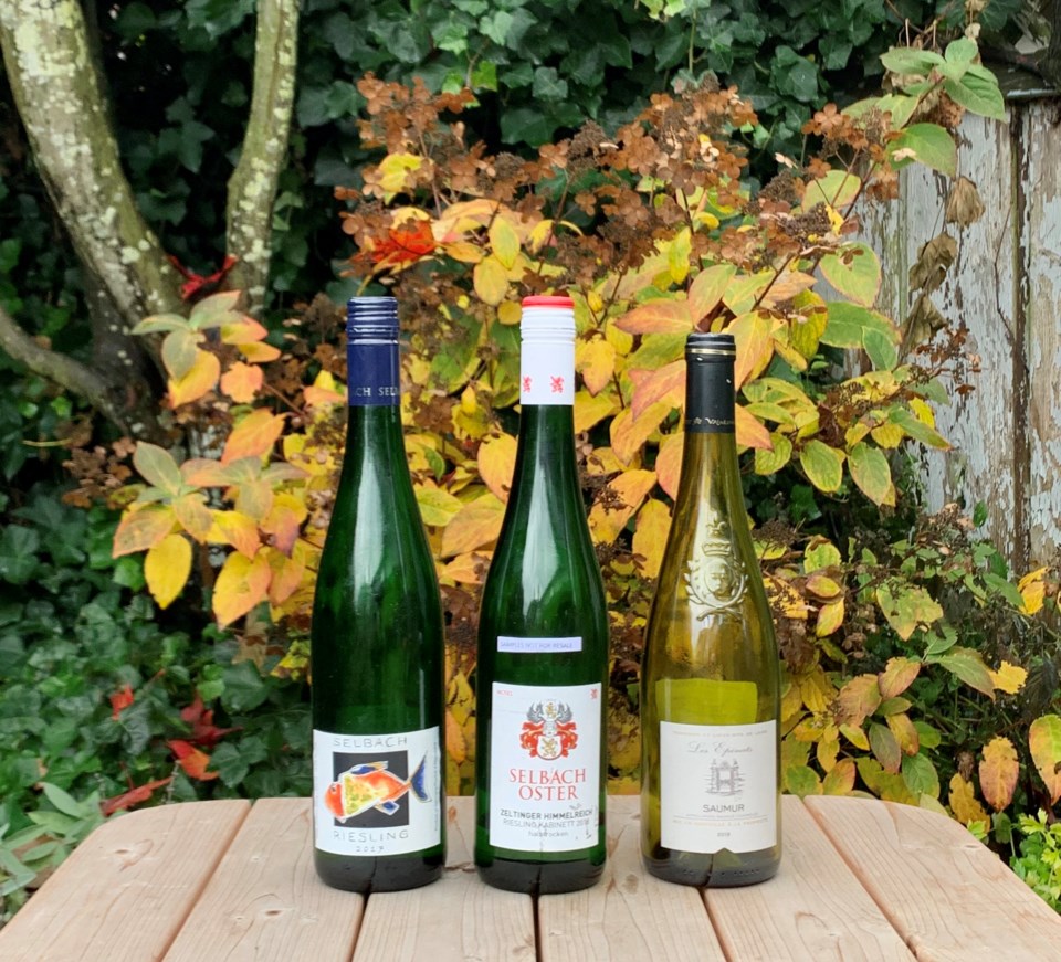 wines that go with roast pork