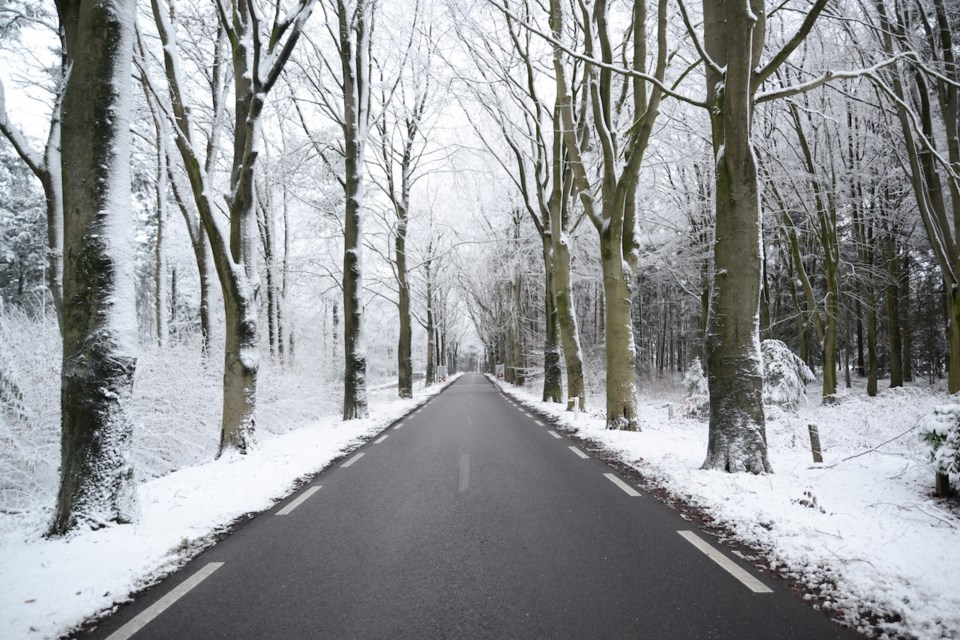 winter