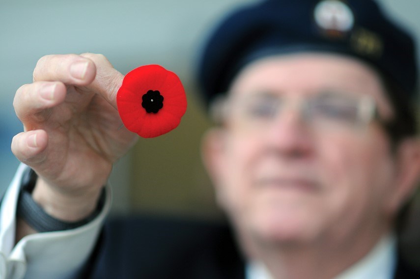 poppy campaign