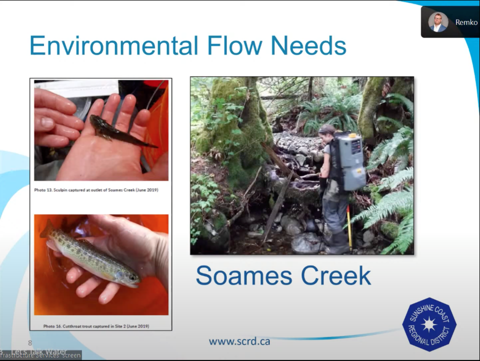 Soames Creek