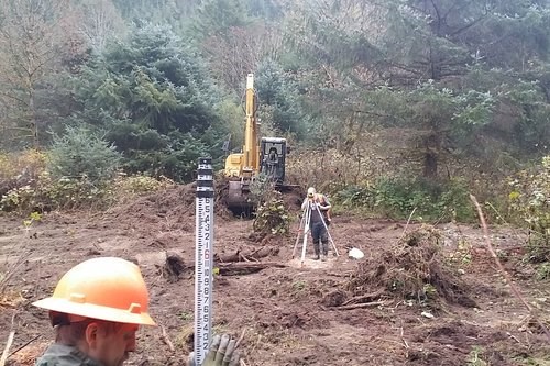 Wetland Work