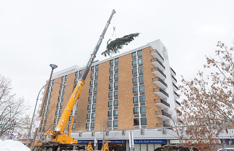 Citizen Photo by James Doyle/Local Journalism Initiative. A crane lifts a 70-foot tree on to the roof of the Coast Prince George Hotel by APA on Friday morning. The tree will be the centrepiece of the United Way of Northern B.C.’s Tree of Lights campaign.