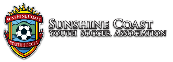 Soccer logo