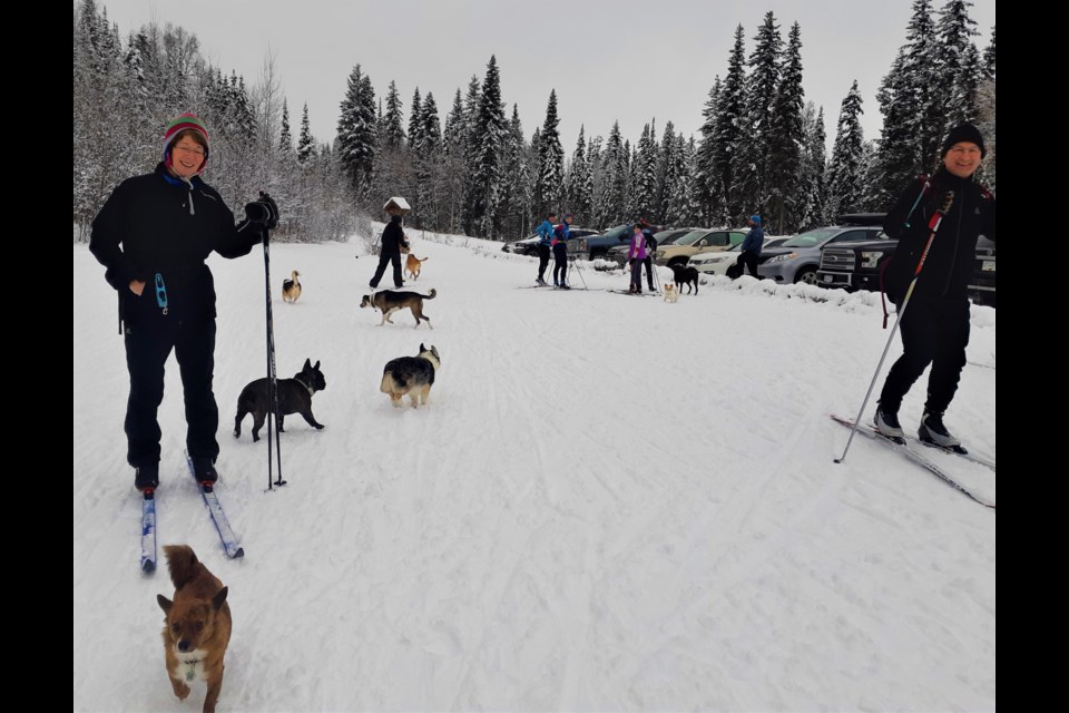 Jennifer Bania and her husband Tom share the cross-country ski trails at Otway Nordic Centre with other Caledonia Nordic Ski Club members and an impromptu pack of dogs. It was the first ski of the season for the Prince George couple, who were out Sunday afternoon with their two-year-old French bulldog Frankie.
