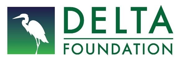 Delta Foundation