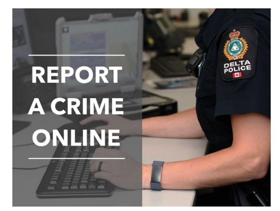 delta police online reporting tool