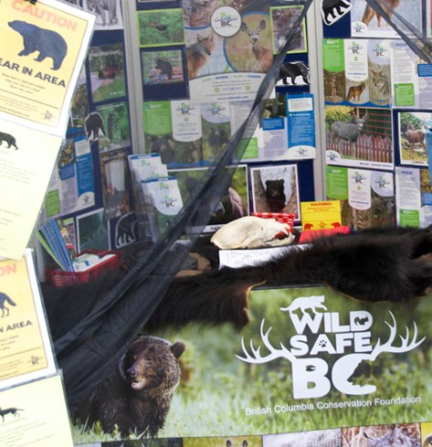 WildSafe Display