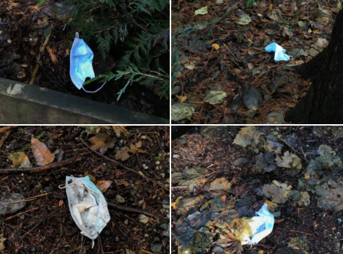 A sample of some of the masks dropped along the Hoy Creek linear trail in Coquitlam.
