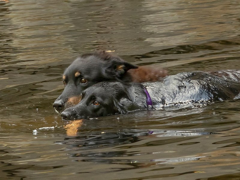 TT and Remi Powell River