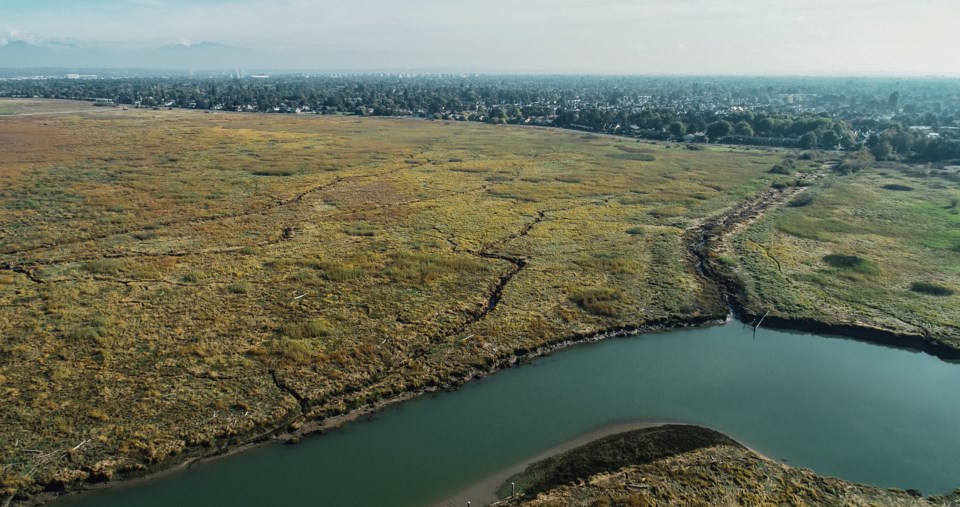 fraser river estuary