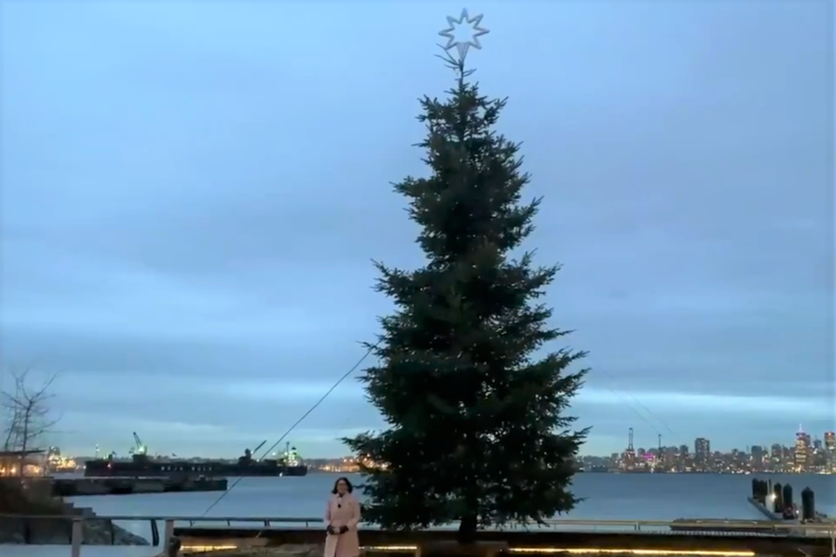 Watch North Vancouver's giant Christmas tree light up ...