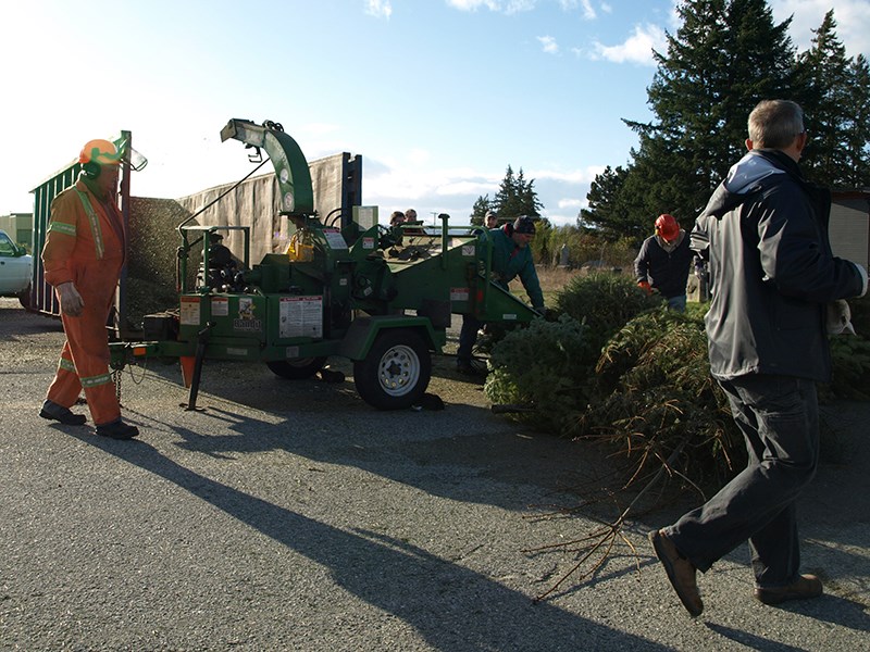 Special Olympics BC-Powell River Tree Mulch