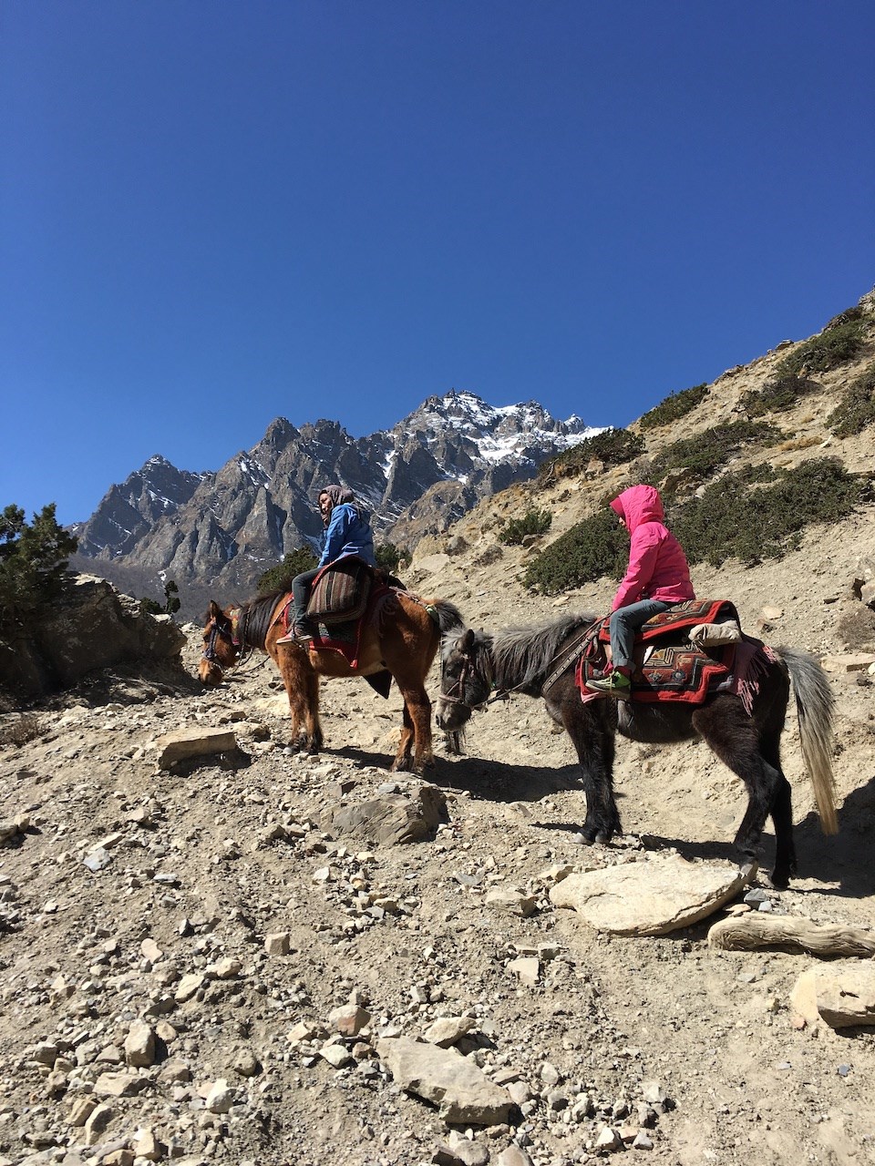 Squamish mountaineer Michael Schauch memoir documents his humanitarian efforts in Nepal