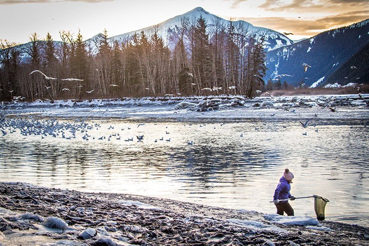 skeena river