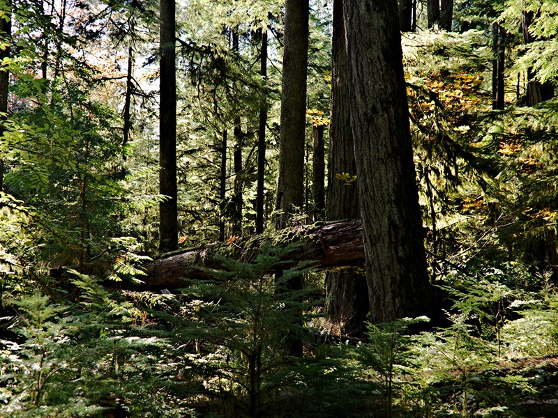 Powell River qathet