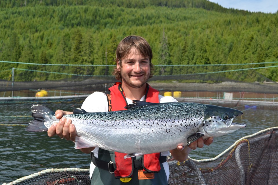 Marcus Fritsch of Venture Point farm with farmed salmon. | Marine Harvest Canada